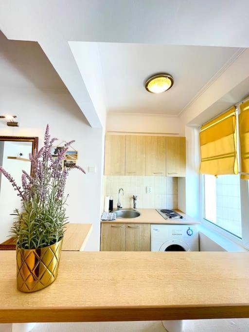 Boutique Apartment In The Bucharest City Center Exteriör bild